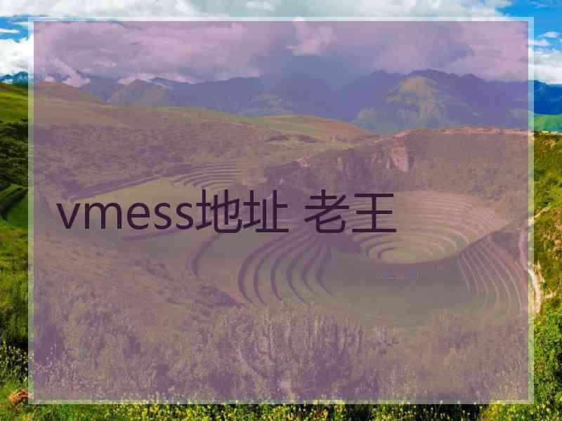 vmess地址 老王