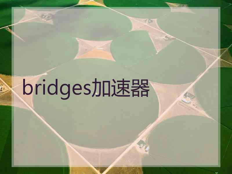 bridges加速器