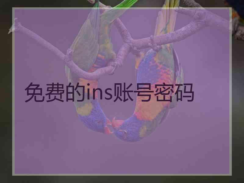 免费的ins账号密码