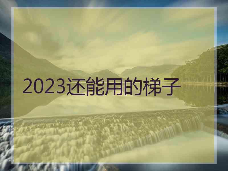 2023还能用的梯子