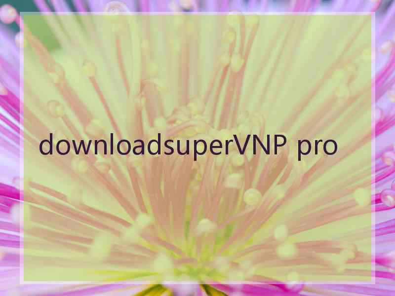 downloadsuperVNP pro