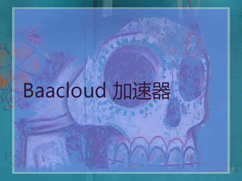 Baacloud 加速器