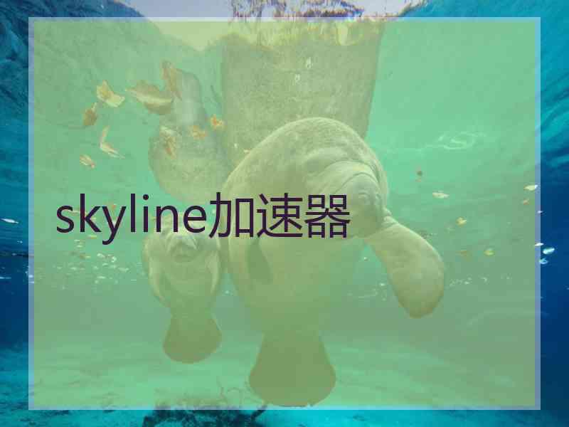 skyline加速器