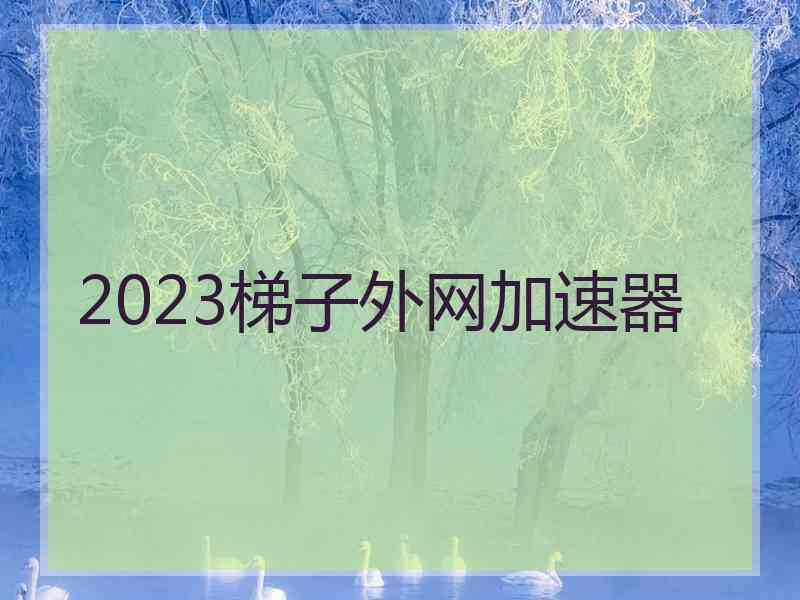 2023梯子外网加速器