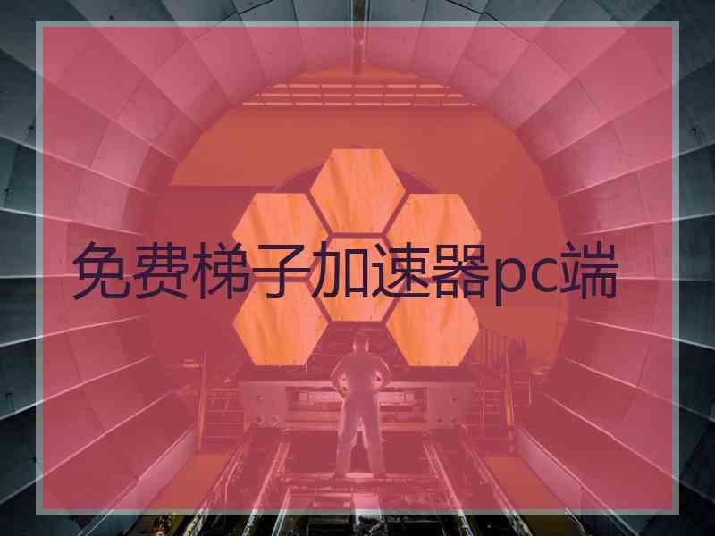 免费梯子加速器pc端