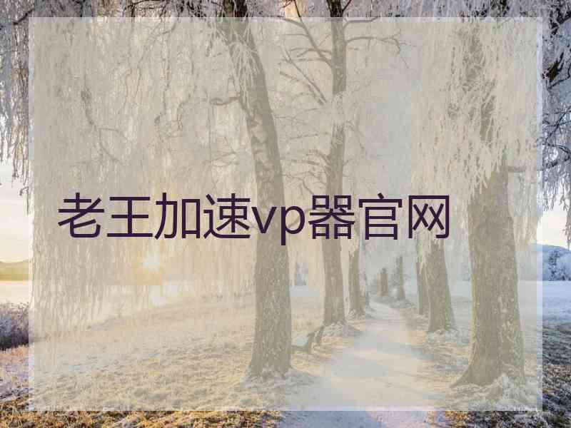 老王加速vp器官网