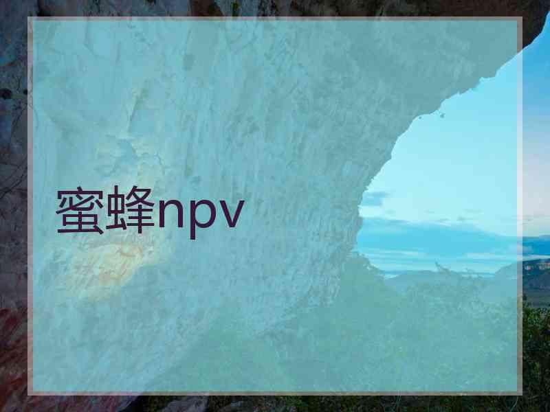 蜜蜂npv