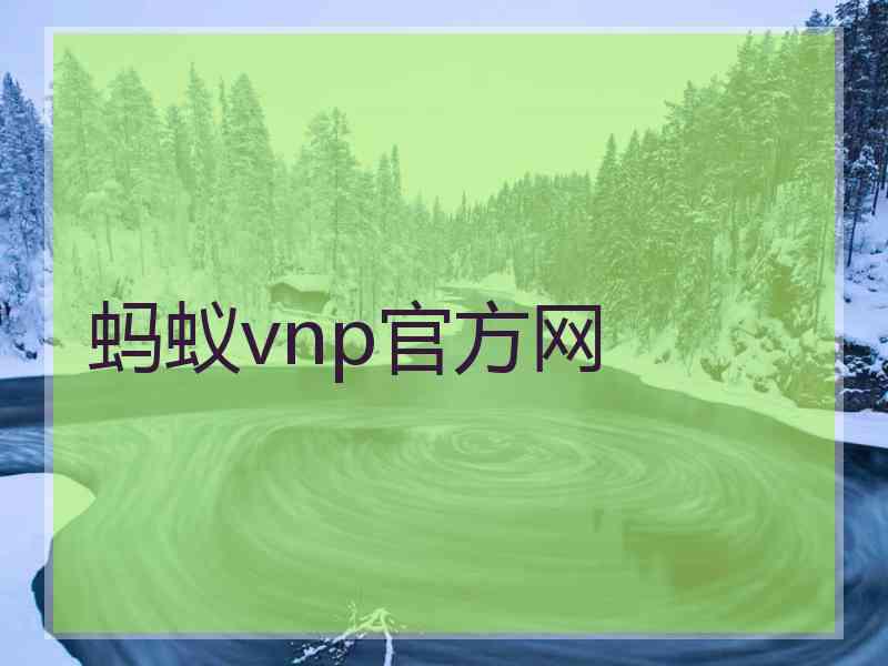 蚂蚁vnp官方网