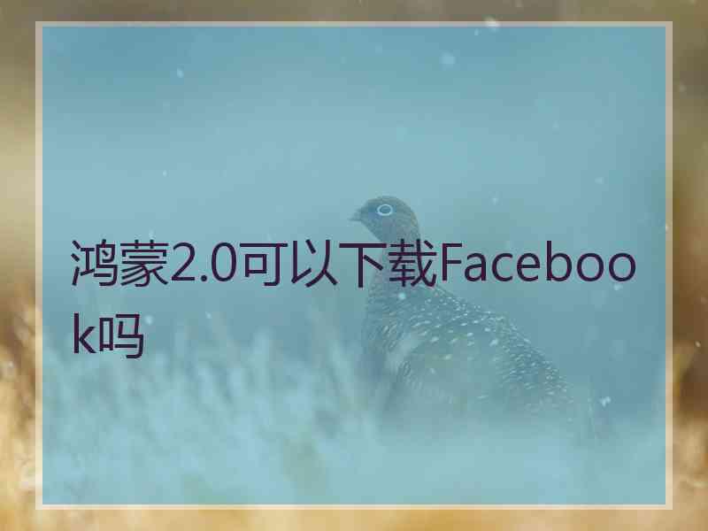 鸿蒙2.0可以下载Facebook吗