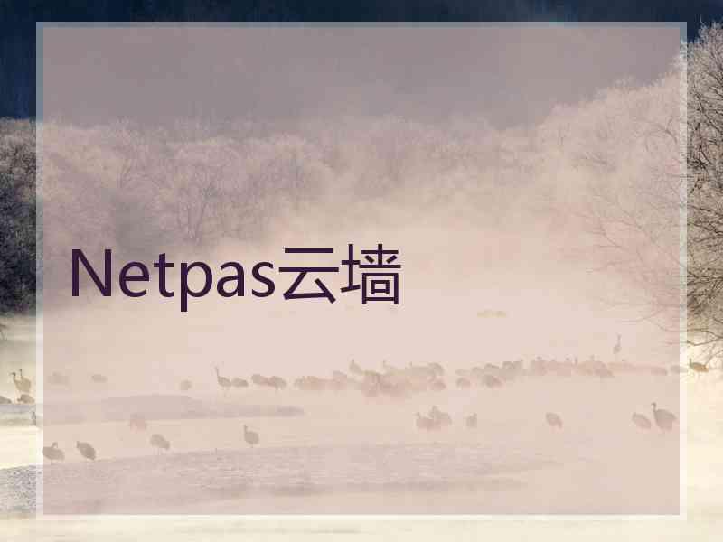 Netpas云墙