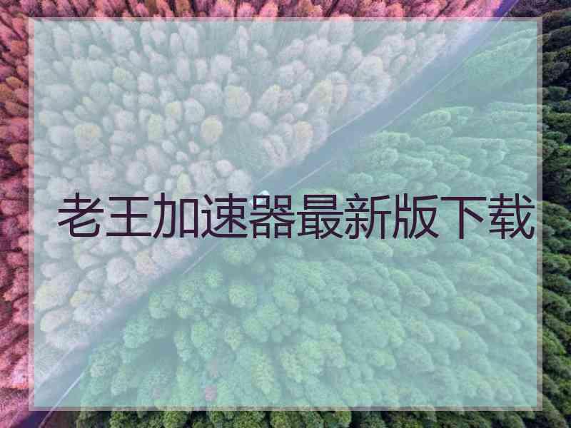 老王加速器最新版下载