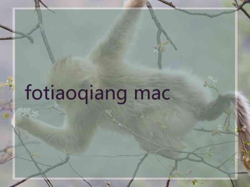 fotiaoqiang mac