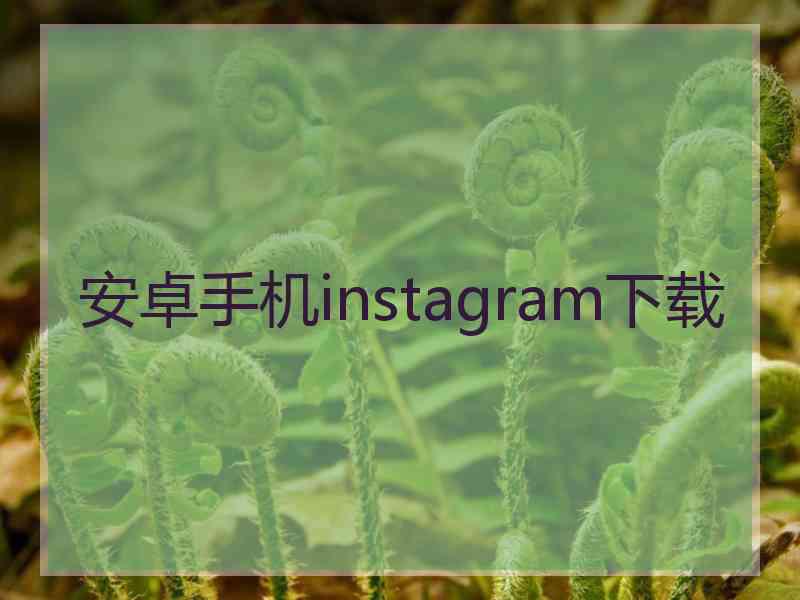 安卓手机instagram下载