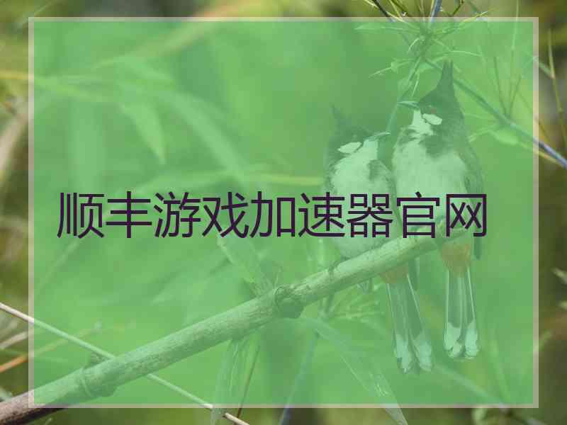 顺丰游戏加速器官网