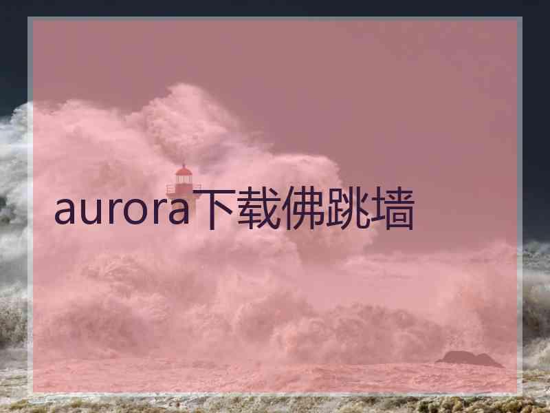 aurora下载佛跳墙