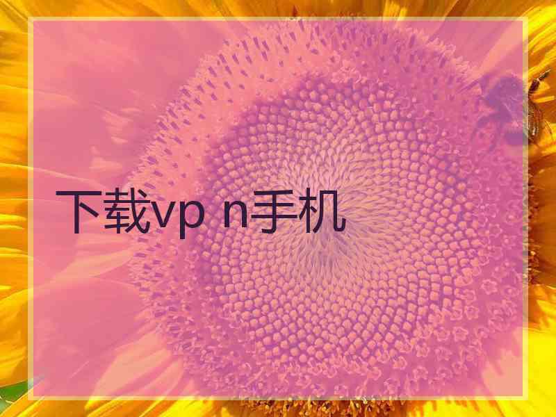 下载vp n手机