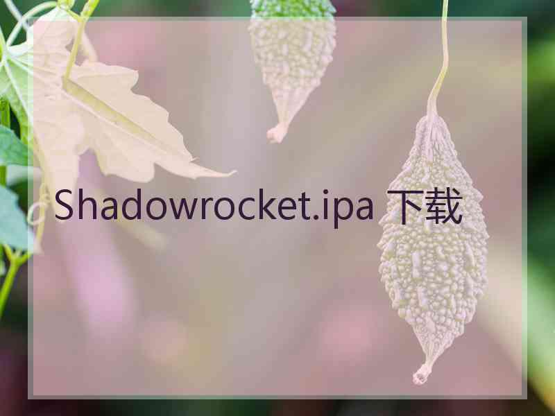 Shadowrocket.ipa 下载