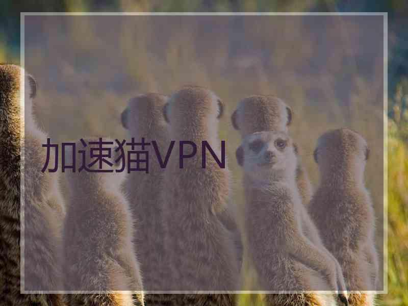 加速猫VPN