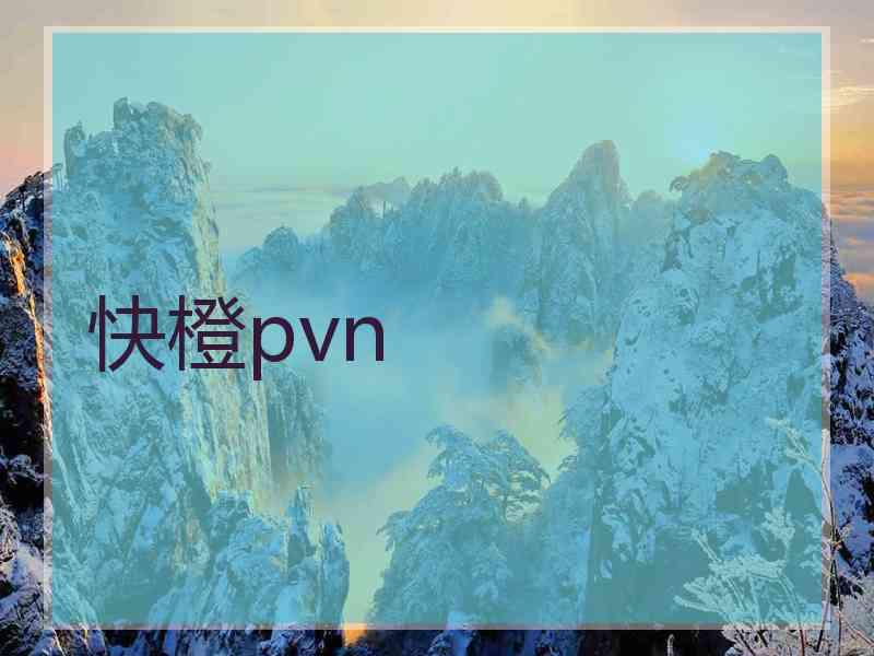 快橙pvn