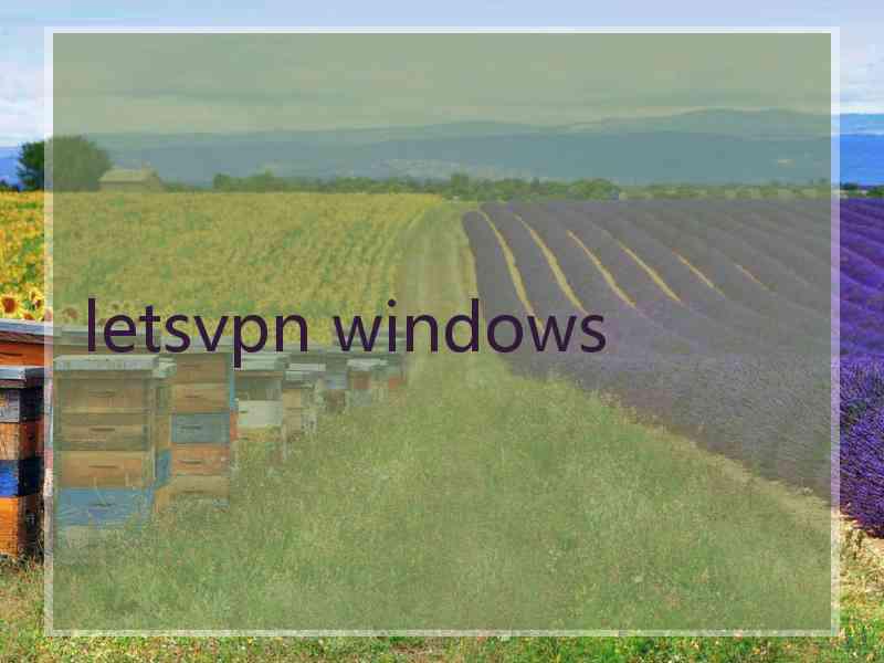 letsvpn windows