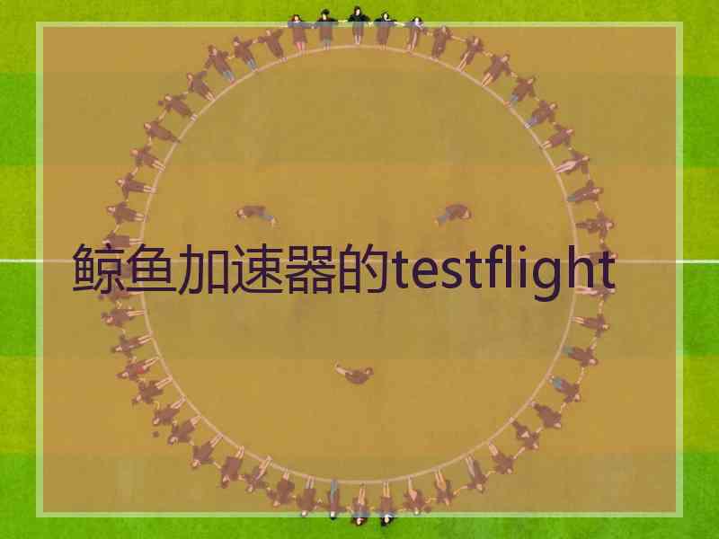 鲸鱼加速器的testflight