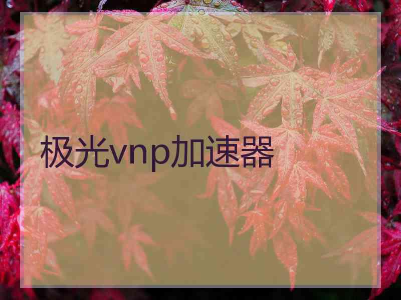 极光vnp加速器