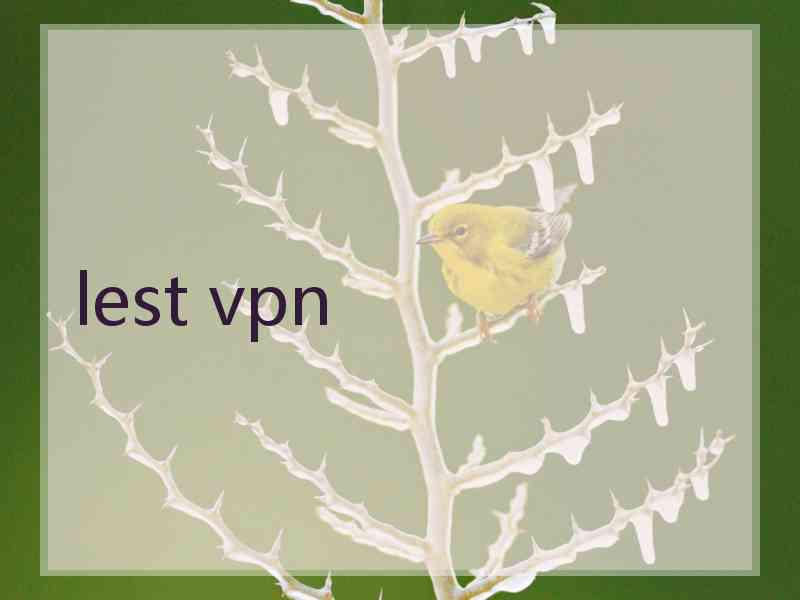 lest vpn