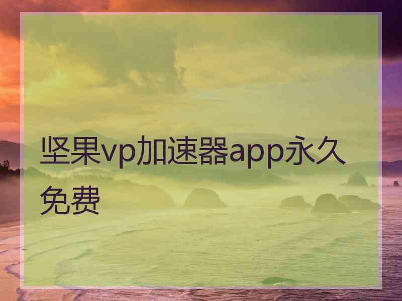 坚果vp加速器app永久免费