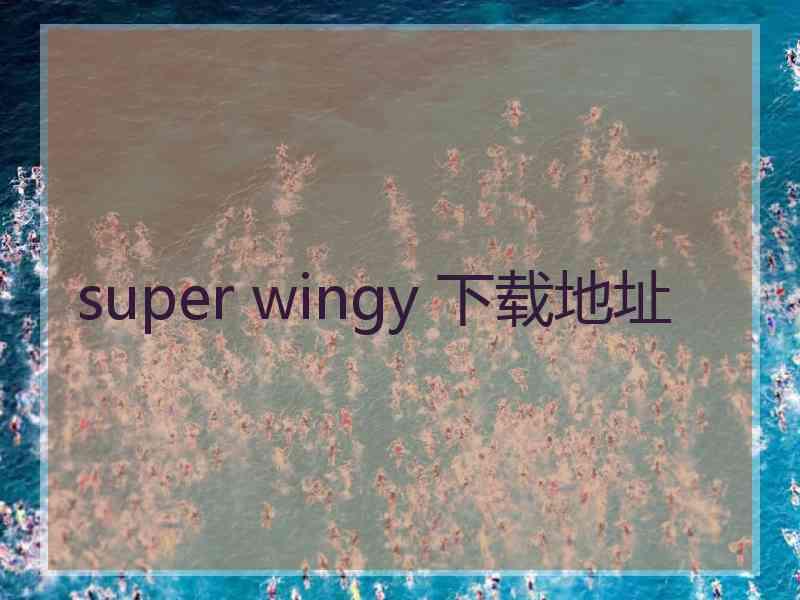 super wingy 下载地址