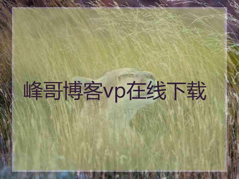 峰哥博客vp在线下载