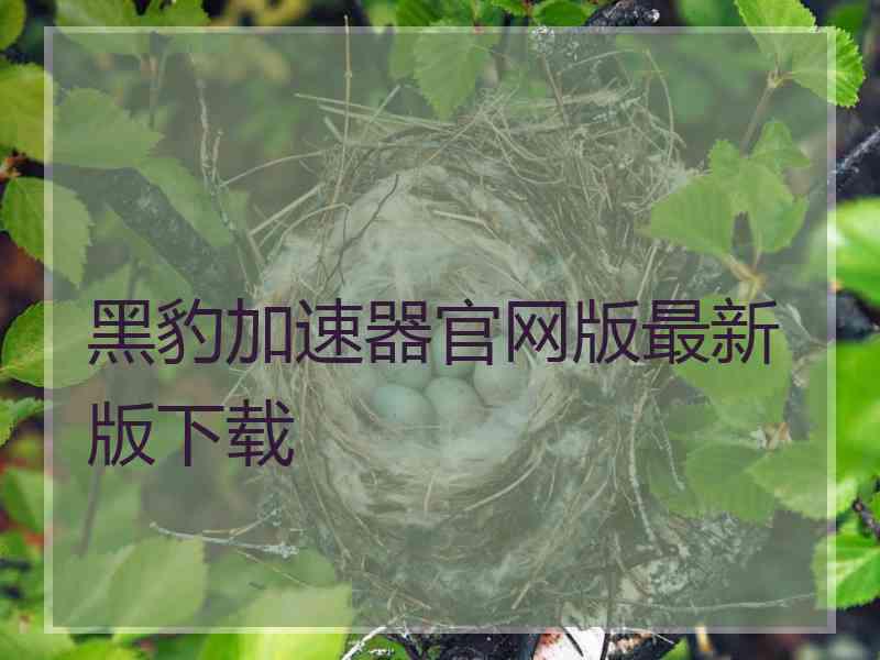 黑豹加速器官网版最新版下载