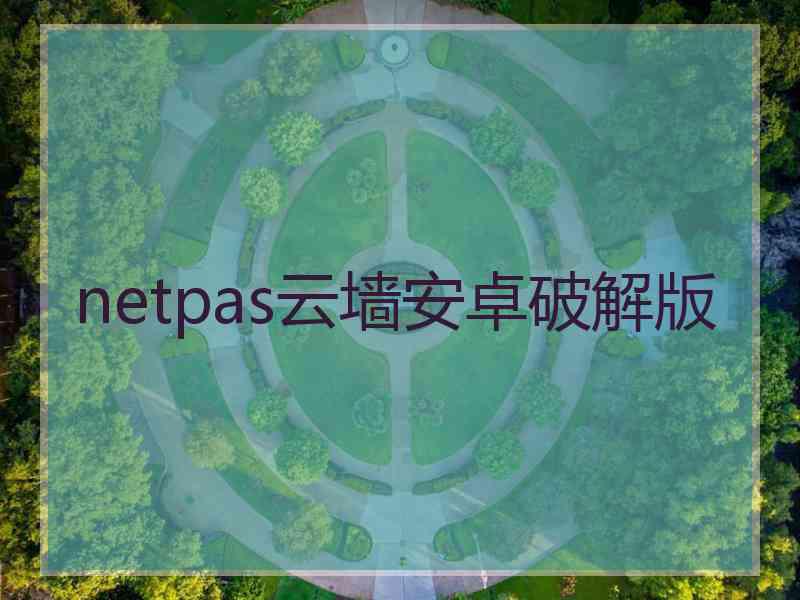 netpas云墙安卓破解版