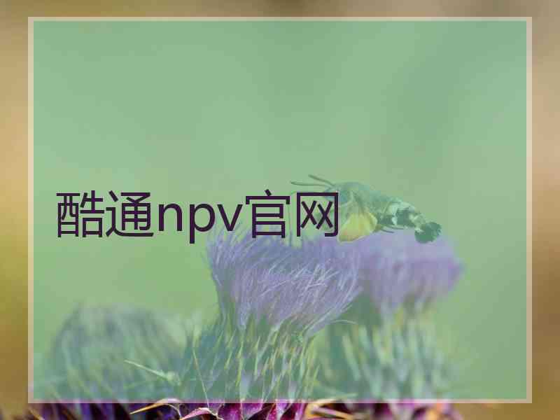 酷通npv官网