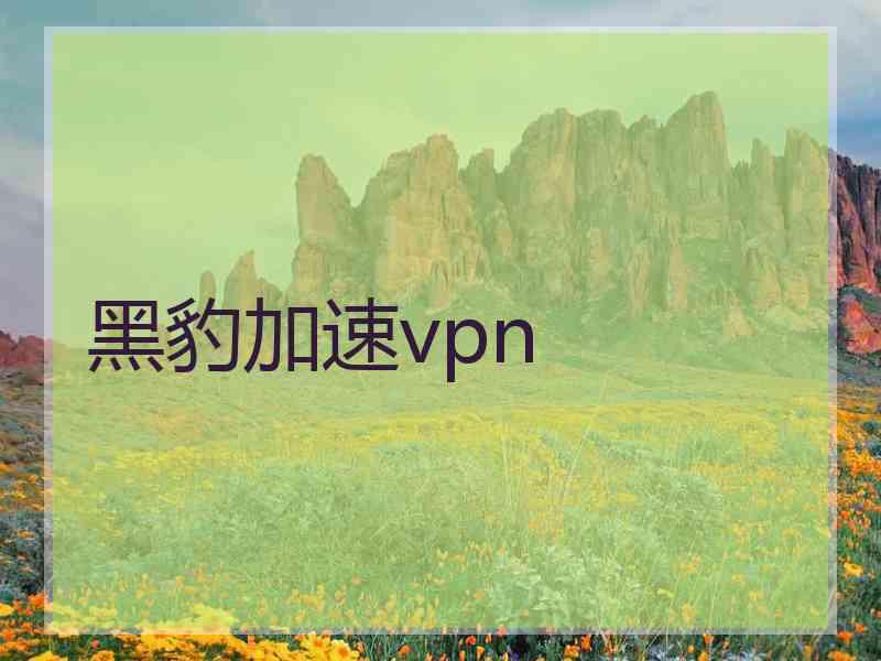 黑豹加速vpn