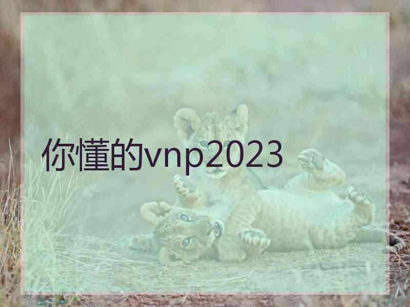 你懂的vnp2023