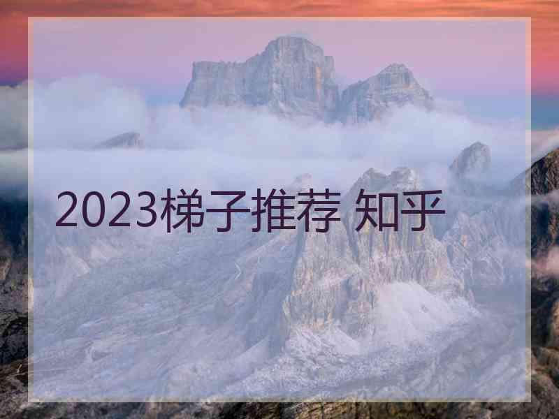 2023梯子推荐 知乎