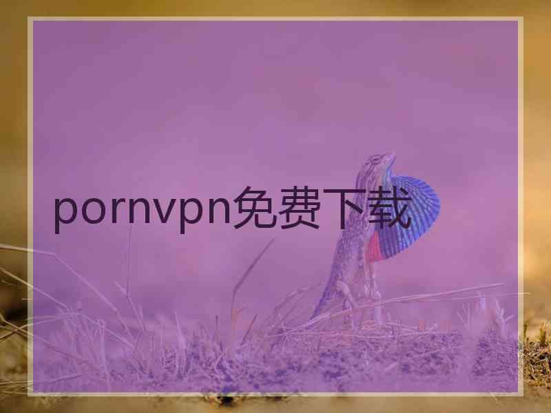 pornvpn免费下载