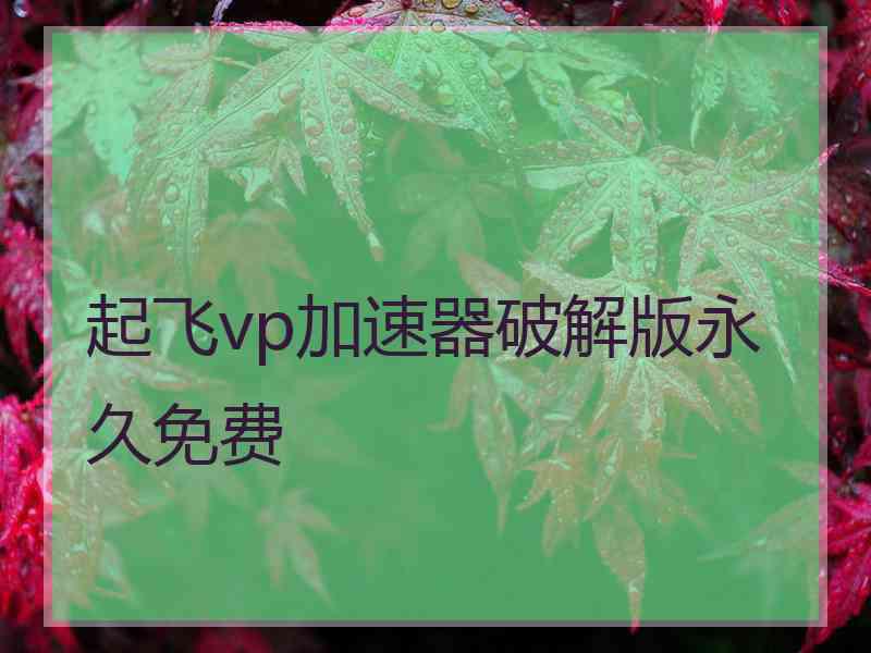 起飞vp加速器破解版永久免费