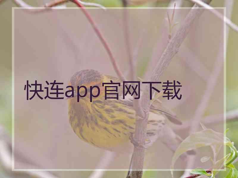 快连app官网下载