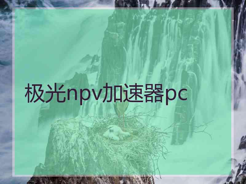 极光npv加速器pc