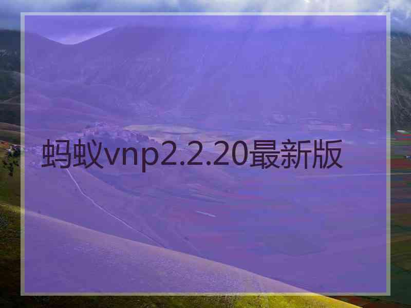 蚂蚁vnp2.2.20最新版