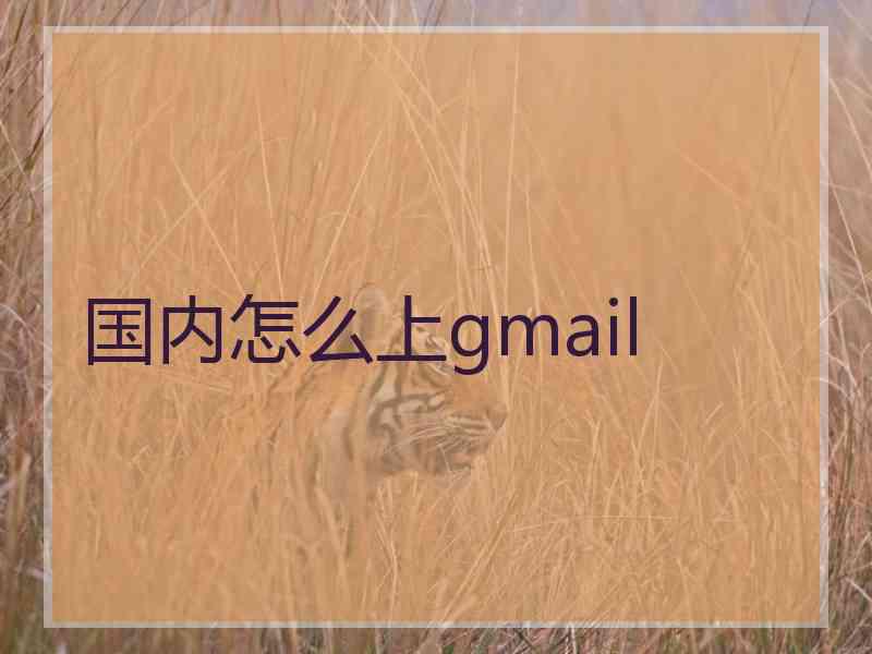 国内怎么上gmail