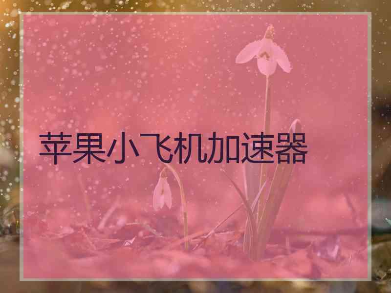 苹果小飞机加速器