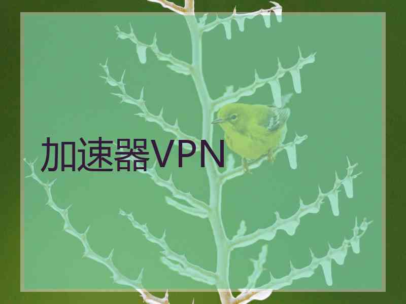 加速器VPN