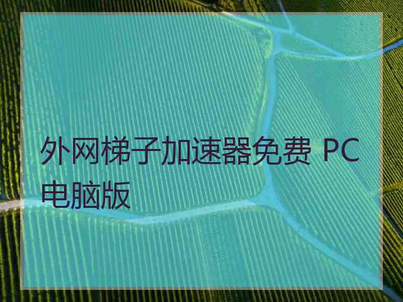 外网梯子加速器免费 PC电脑版