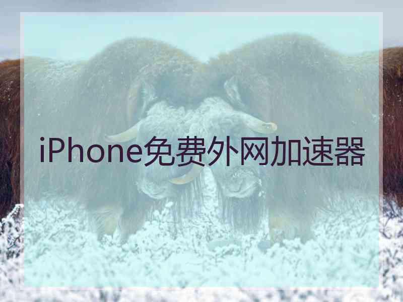 iPhone免费外网加速器