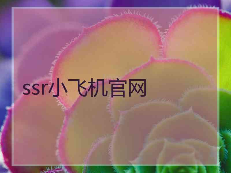 ssr小飞机官网