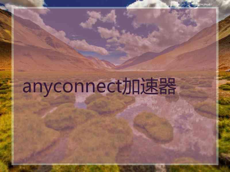 anyconnect加速器