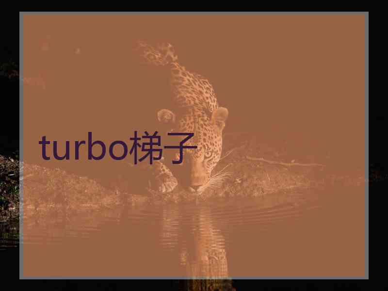 turbo梯子