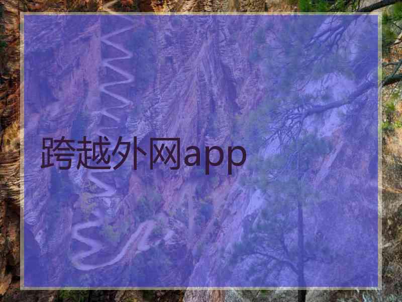 跨越外网app